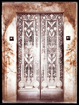 Elevator Doors